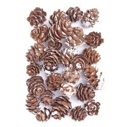 SZYSZKI MINI BIELONE DPCRAFT 25G