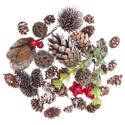 NATURALNE ELEMENTY DPCRAFT MIX 50G