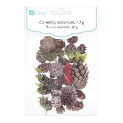 NATURALNE ELEMENTY DPCRAFT MIX 50G